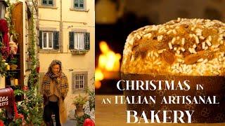 PANETTONE in an ITALIAN ARTISANAL BAKERY & CHRISTMAS in CORTONA, TUSCANY