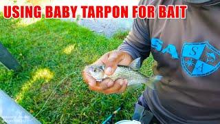 Using BABY Taron for Bait | Monster Mike