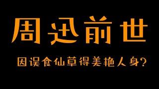 【前世今生】周迅的前世今生 狐仙误食仙草幻化成美艳人身入世？