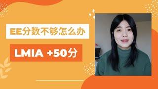 加拿大快速通道EE分数不够怎么办？加分神器LMIA+50分