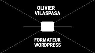 Formateur WordPress à Paris. Olivier Vilaspasa