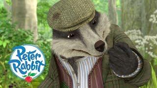 Peter Rabbit - Tommy Brock the Bad Badger | Cartoons for Kids