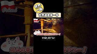 【一分解説 × 世界一周】ポーランド クラクフで楽しむホットビール！ 世界遺産第一号のヴィエリチカ岩塩坑にも行きますのだ 写真で振り返るハムスターの世界一周 Ep39 #Shorts