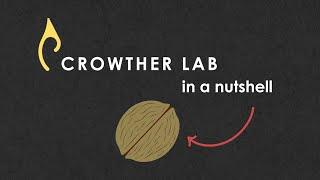 Crowther Lab in a Nutshell