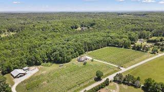 Georgia Winery & Vineyard For Sale - Become a Winemaker!