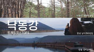 낙동강의 걷기 좋은길 TOP3 I 강물랭킹쇼