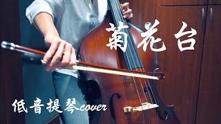 周杰倫《菊花台Chrysanthemum Terrace》Double Bass低音大提琴 樂器cover