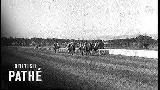 Horse Race In South Africa (1938)