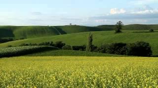 北海道　美瑛の田園風景 - Views of wide fields and hills in Biei, Hokkaido, Japan