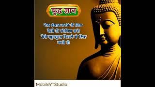 #love #buddha #buddhabowl #buddhaquotes #buddhastatue #buddhabar #buddhagyaan#buddhastory #youtuber