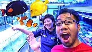 AMAZING SINGAPORE SALTWATER AQUARIUM TOUR