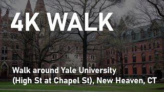 [4K] Walk around Yale University (High St at Chapel St) - Let's Go Walking Tour