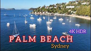 Palm Beach Sydney 4K HDR Drone Video