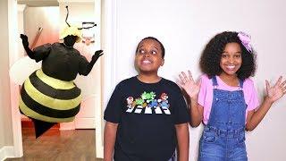 BEES Follow Shasha And Shiloh! - Onyx Kids