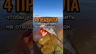 Применяем эти правила - ловим! Отводной и слаги рулят! #поймалотпусти #окунь #отводнойповодок