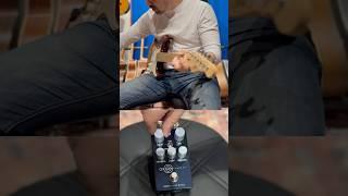 Te presentamos el pedal Orion Tape Echo de Universal Audio.    Disponible en Hermes Music Club