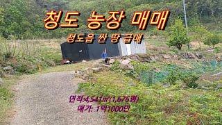 경관이 수려한 주말농장 급매/청도 농장 매매  /청도읍 부동산 매매/경남일원 토지전문  상담환영 T)055-363-0015