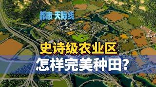 Cities Skylines 2 都市天际线2路网：史诗级农业区 怎样完美种田