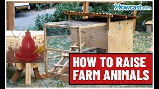 How to Raise Farm Animals