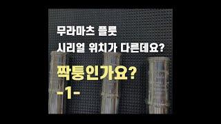 무라마츠 플루트 시리얼 확인하는법 내 플룻은 가짜야?