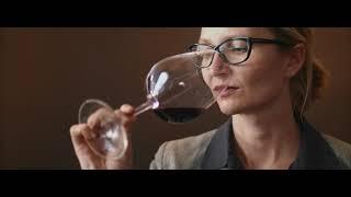 JRE Slovenija: Vinske zgodbe - Wine stories, Katja Šuklje (Vinska klet Šuklje)