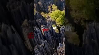 "Discover Tsingy de Bemaraha: Madagascar's Stone Forest "