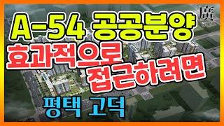 평택 고덕 A 54 블록 공공분양 효과적인 접근 방향 /입주자모집공고