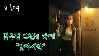 [vlog]유럽감성 브런치카페 달마시안ㅣ압구정카페ㅣ압구정로데오카페ㅣ압구정브런치카페ㅣ압구정데이트ㅣ압구정애견동반카페