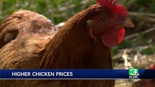 What's driving the rising costs of chicken in California stores?