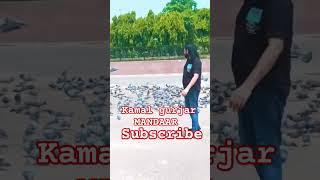 power#gujjar #kamal subscribe kabutar subscribe