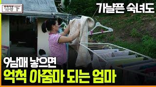 [다큐 '가족' 85下] 가냘픈 숙녀도 9남매 낳으면억척 아줌마 되는 엄마