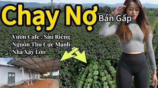 Siêu Hot! Bán Lô Đất Đắk Nông Giá Rẻ - Nhà Lớn, 140m Mặt Tiền, Nguồn Thu Mạnh, Đầu Tư Ngay!