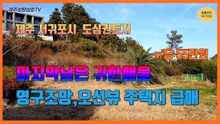 제주도 오션뷰 전원주택지중 서귀포구도심권에 위치한 본토지는 주변으로 서귀포 헬스케어타운및 생활편의시설이 양호한 지역에 위치하고 ,영구조망 바다뷰를 가진 남향인  전원주택지입니다.