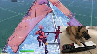 I taught my dog how to edit in fortnite...