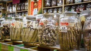 Great China Herb Centre is one of Chinatown's oldest businesses