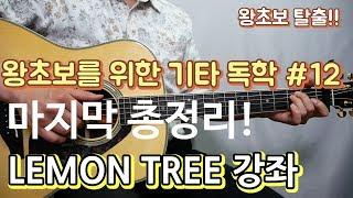 [기타입문,기타독학] 왕초보를 위한 통기타 강좌,배우기 #12 마지막 총정리. 주법 화려하게 치는법! 섞어보기, 피크체인지, 체인징 .LEMON TREE 강좌