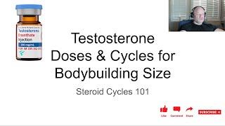 Testosterone Cycle Basics - Anabolic Bodybuilding