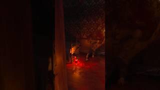 Stygian: Outer Gods #survivalhorror #lovecraftian #horrorgaming #reactionshorts
