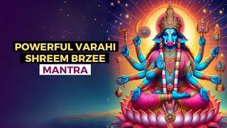 Varahi Shreem Brzee Mantra: Manifesting Prosperity and Abundance