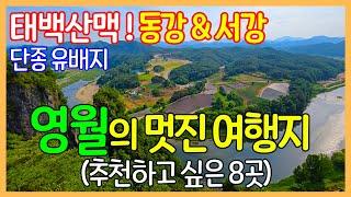 영월의 좋은 여행지 8곳 | 선돌 / 한반도지형 / 섶다리 / 법흥사 / 요선암돌개구멍 / 요선정 / 청령포 / 영월 장릉 | Travel Korea