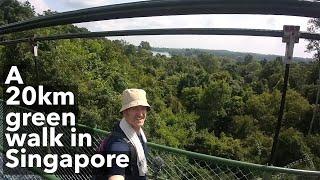 A 20km nature walk in Singapore? It is possible.