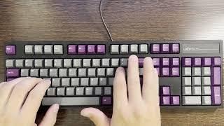 Leopold FC900R Cherry MX Silent Red (lubed) typing