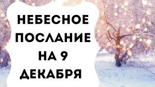 Небесное послание на 9 декабря. Ваша целеустремлённость.