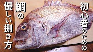 鯛のさばき方～初心者でもこれを見れば完璧になる三枚おろし【刺身】