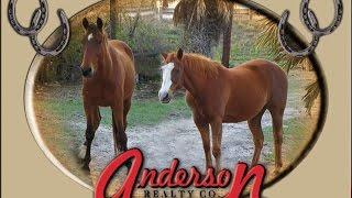 Anderson Realty