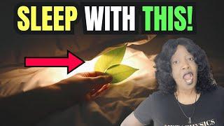  Sleep With a Bay Leaf – Watch What Happens