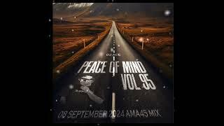 AMA45 MIX 2024 | 08 SEPTEMBER | PEACE OF MIND VOL 95 | DJ Ace ️