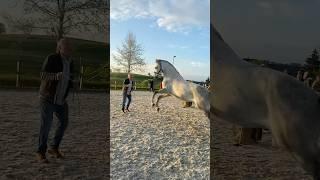 That was so great! #equestrian #family #model #photoshoot