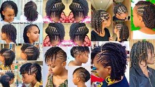 Natural Hair Twist Styles | Twist Hairstyles for Natural