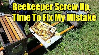 Beekeeper Screw Up, Time To Fix My Mistake